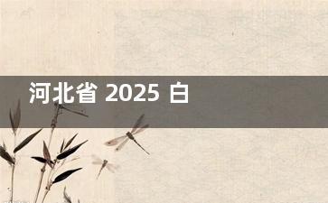 河北省 2025 白内障手术免费政策实情曝光：适用人群+申请流程，一文读懂